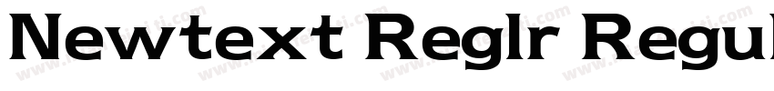 Newtext Reglr Regular字体转换